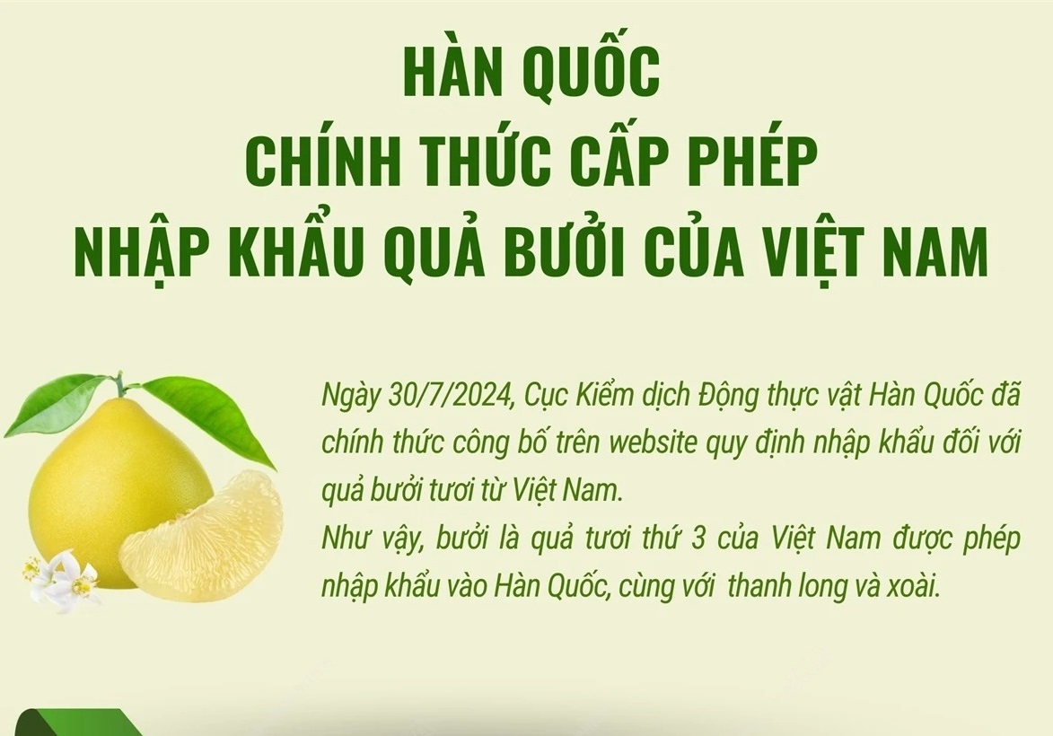 Hàn Quốc chính thức cấp phép nhập khẩu quả bưởi tươi của Việt Nam