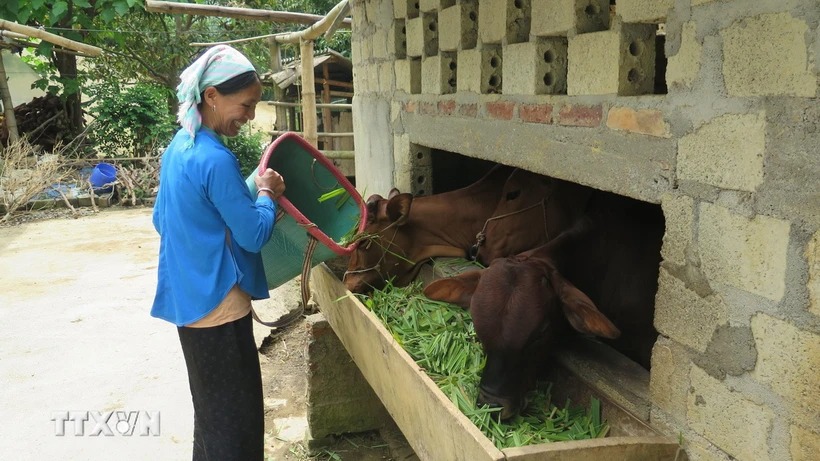 Bộ Tài chính: Giải ngân các chương trình mục tiêu quốc gia còn chậm