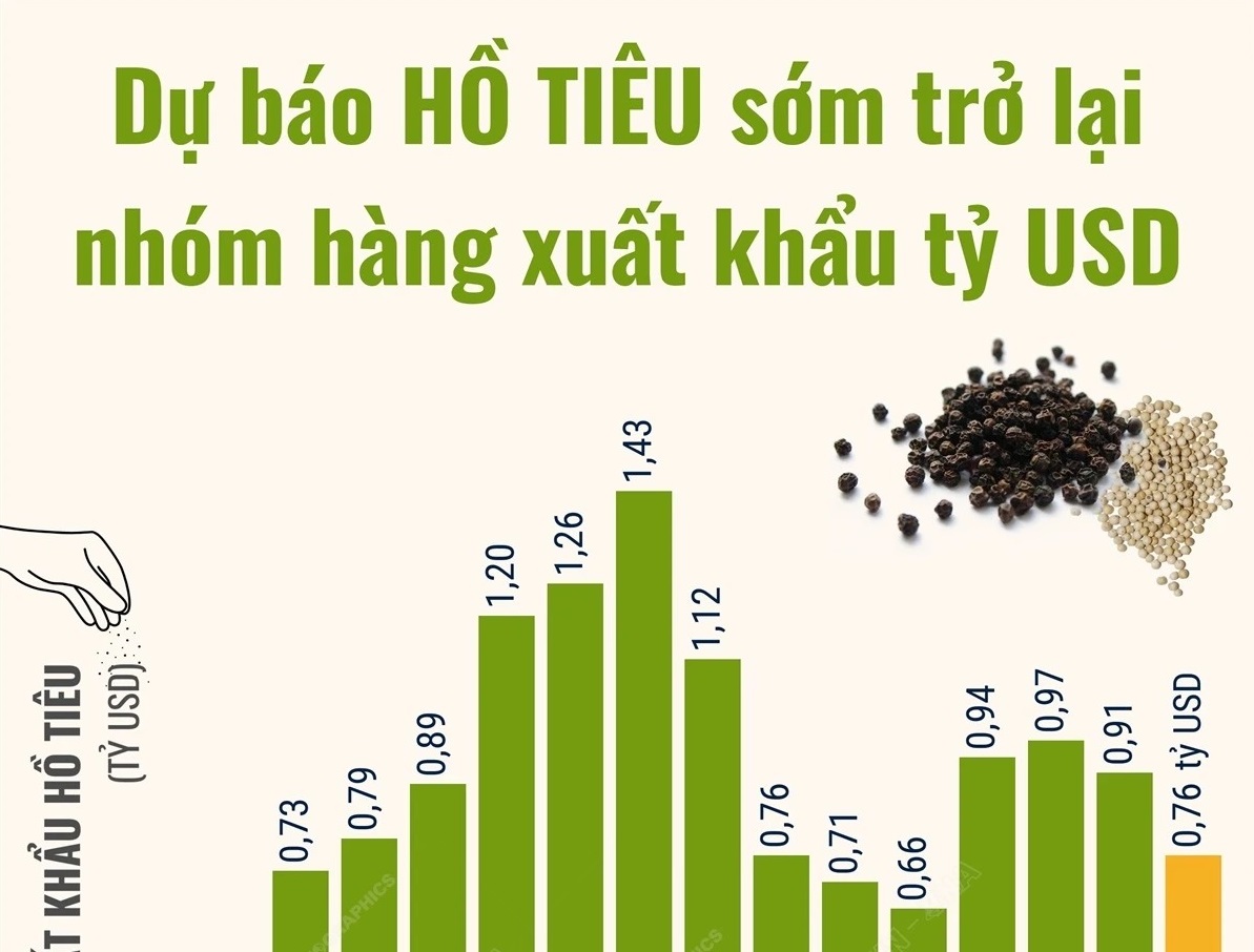 Dự báo hồ tiêu Việt Nam sớm trở lại nhóm hàng xuất khẩu tỷ USD