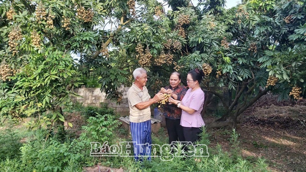 “Nhãn VietGAP”- Dễ tiêu thụ, hiệu quả kinh tế cao