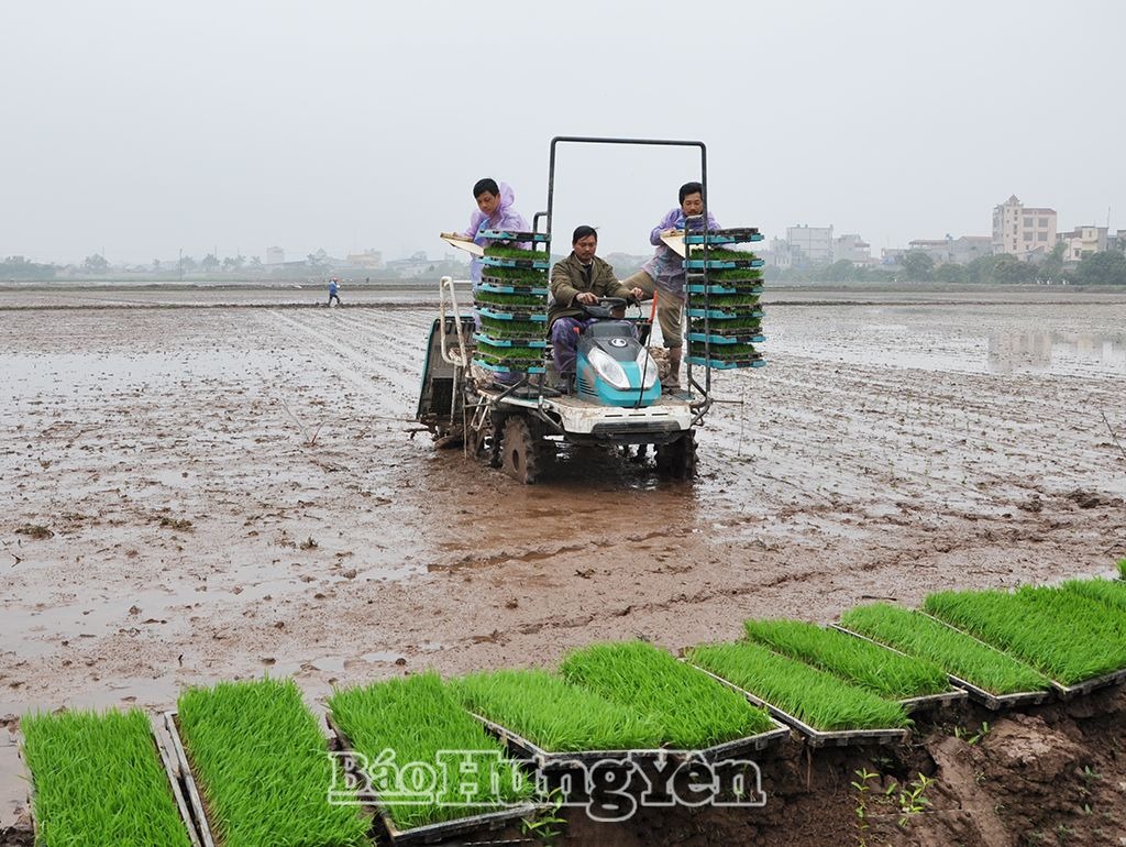 Mở rộng diện tích sản xuất và gia tăng giá trị sản phẩm nông nghiệp hữu cơ