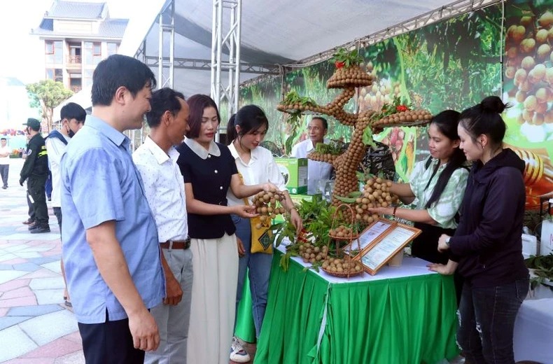 Hưng Yên có 271 sản phẩm OCOP