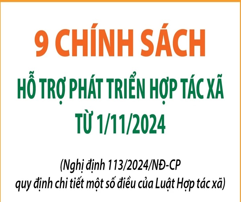 9 chính sách hỗ trợ phát triển hợp tác xã từ 1/11/2024